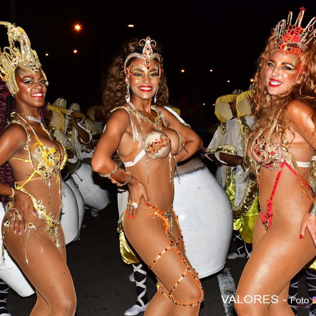desfile 201